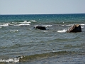 Western Michigan [2010] 863